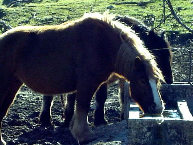 Casa Alaska Altsasu Zewnętrze zdjęcie